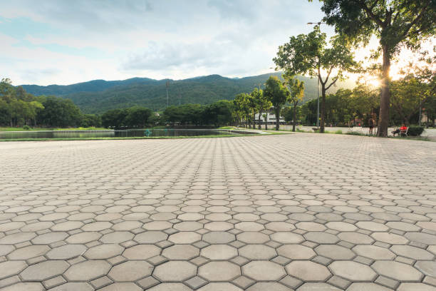 Best Permeable Paver Driveway  in Southmayd, TX